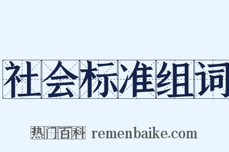 社会标准组词是什么意思的图片